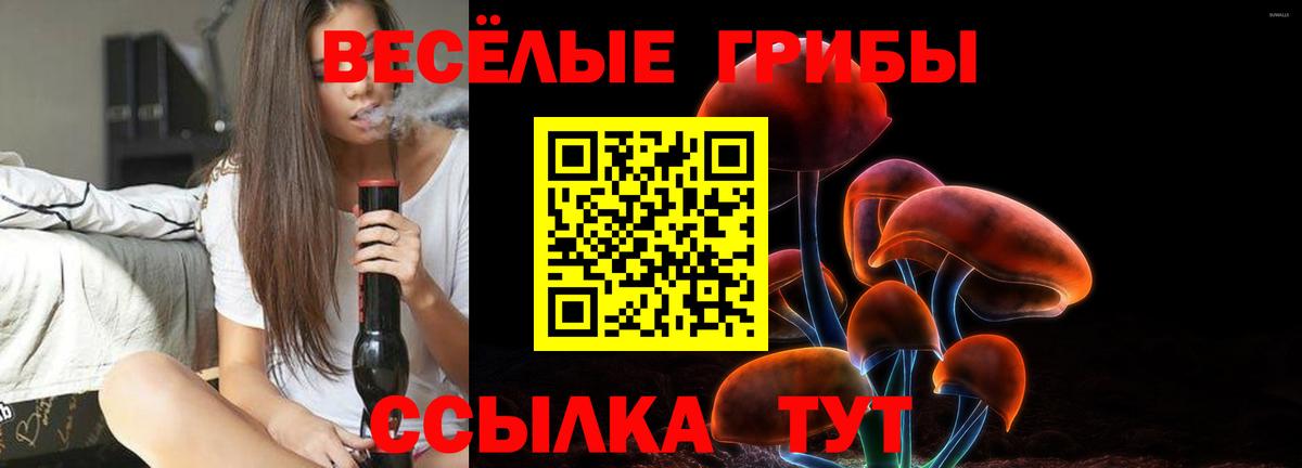 Галлюциногенные грибы ЛСД  Вход с VPN  Зеленодольск 